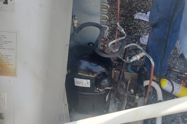 WhatsApp Image 2025-08-25 at 10.10.49 PM (1)