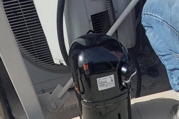 WhatsApp Image 2025-08-25 at 10.10.49 PM