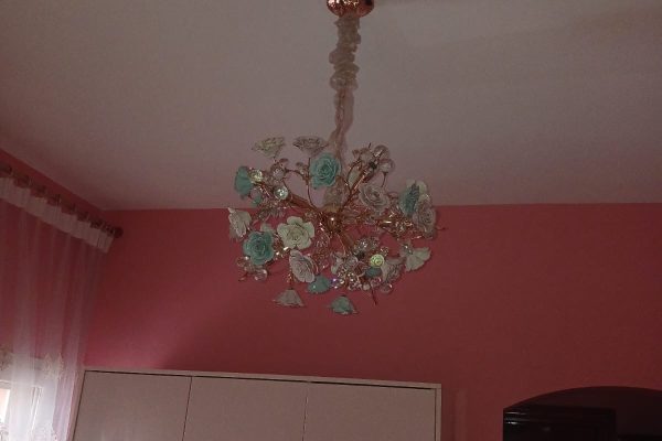 WhatsApp Image 2025-08-25 at 10.12.49 PM (1)