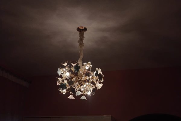 WhatsApp Image 2025-08-25 at 10.12.50 PM